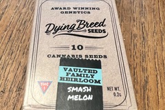 Venta: Smash Melon - Dying Breed Seeds