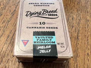 Providing ($): Dying Breed Seeds - Melon Jelly