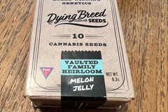 Venta: Dying Breed Seeds - Melon Jelly