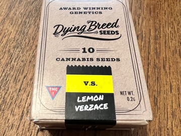 Proporcionando ($): VS Lemon Verzace - Dying Breed Seeds