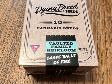Providing ($): Grape Balls of Fire - Dying Breed Seeds