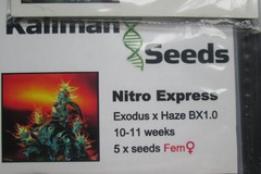 Providing ($): Kaliman Seeds, "Nitro Express". 5 x Feminised Seeds.