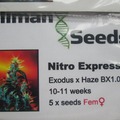 Providing ($): Kaliman Seeds, "Nitro Express". 5 x Feminised Seeds.