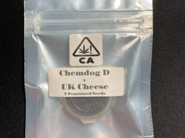 Proporcionando ($): Chemdog D x UK Cheese - CSI Humboldt (7 Female Seeds)