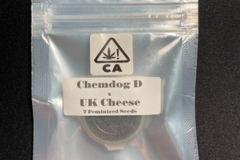 Providing ($): Chemdog D x UK Cheese - CSI Humboldt (7 Female Seeds)