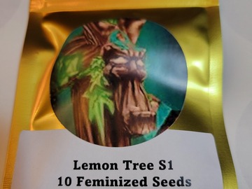 Proposer ($): Lemon Tree S1 - 10 Fem Seeds