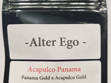 Providing ($): Acapulco Panama - Panama Gold x Acapulco Gold