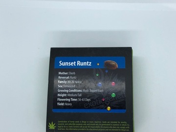 Providing ($): Exotic Genetics Sunset Runtz feminised 6 seed pack