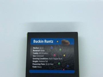 Providing ($): Exotic Genetics Buckin Runtz feminised 6 seed pack