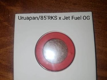 Proposer ($): Uruapan/85'RKS x Jet Fuel OG F1