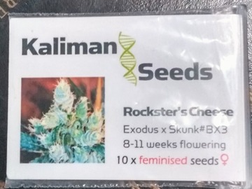 Providing ($): Kaliman Seeds - Rockster's Cheese <Photo\Fem> ~ 10+ct
