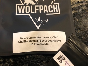 Venta: Wolfpack Selections - Khalifa Mintz x (BCC x Jealousy)