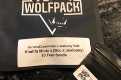 Vente: Wolfpack Selections - Khalifa Mintz x (BCC x Jealousy)