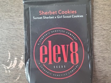 Selling: Elev8 Seeds - Sherbert Cookies