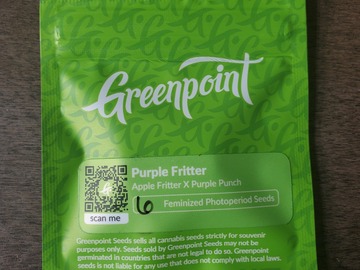 Selling: Greenpoint Seeds - Purple Fritter