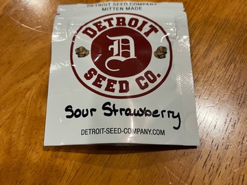 Vente: Detroit Seed Co- Sour Strawberry