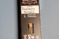 Sell: Relentless Genetics Blueberry Sangria
