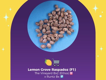Selling: PTG Photo Line - Lemon Grove Raspadoz (Free Shipping!)