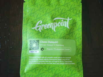 Selling: Chem Daiquiri (10 regs) - Greenpoint Seeds