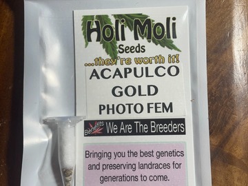Providing ($): ACAPULCO GOLD