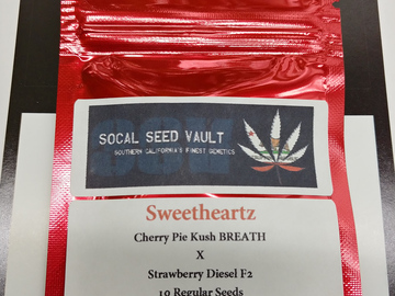 Selling: Sweetheartz - Strawberry Diesel F2 x Cherry Pie Kush BREATH
