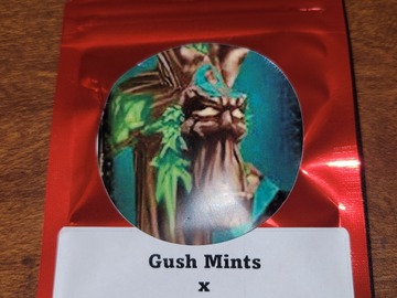 Providing ($): Gush Mints x TagalongZ #9 - 10+ Feminized Seeds