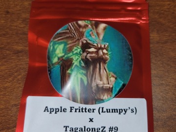 Providing ($): Apple Fritter x TagalongZ #9 - 10+ Feminized Seeds