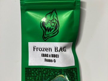 Providing ($): Robinhood Seeds- Frozen BAG