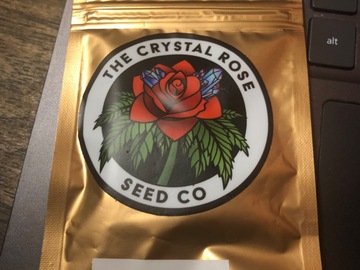 Selling: The Crystal Rose Seed Co - Pie Eyed