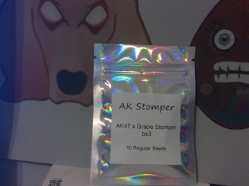 Providing ($): Legendary Genetics - AK Stomper
