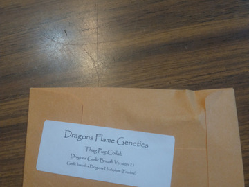 Selling: Dragons Flame Genetics / Thug Pug - Dragons Garlic Breath v2.1