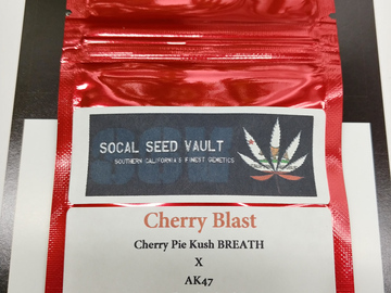 Providing ($): Cherry Blast - Cherry Pie Kush BREATH x AK-47