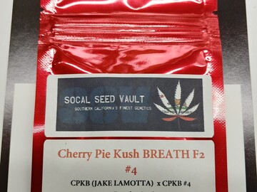 Providing ($): Cherry Pie Kush BREATH F2