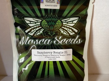 Providing ($): Mosca Seeds - Raspberry Boogie S1