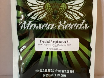 Providing ($): Mosca Seeds - Frosted Raspberries S1