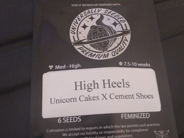 Providing ($): (Unicorn Cakes x Cement Shoes)