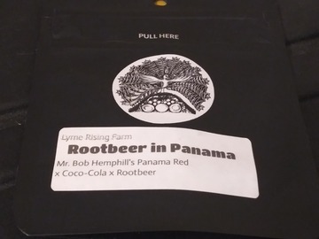 Providing ($): Lyme Rising Farms- Rootbeer in Panama