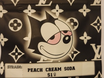 Providing ($): Peach Cream Soda S1 Copycat Genetics Fems