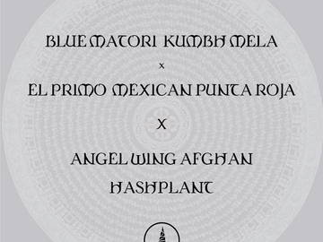 Providing ($): Blue Matori x El Primo X Angel Wing Afghan Hashplant