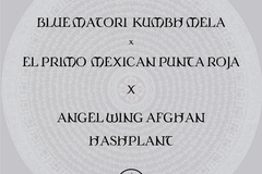 Venta: Blue Matori x El Primo X Angel Wing Afghan Hashplant