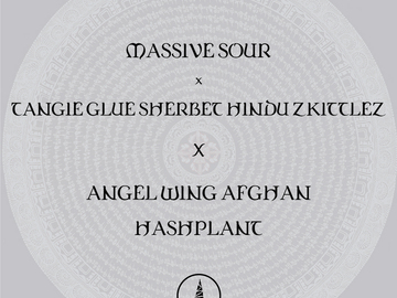 Sell: Sour x Tangie Glue Sherbet Hindu Zkittlez X Angel Wing Afghan