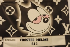 Venta: Frosted Melons S1 Copycat Genetix FEMS