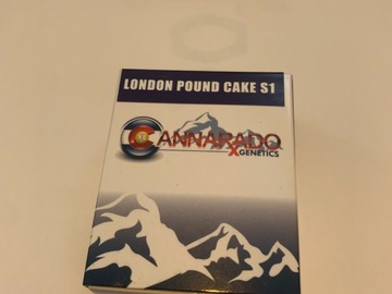 Providing ($): London pound cake s1