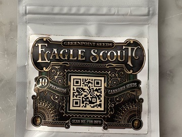 Providing ($): Eagle Scout - Greenpoint seeds