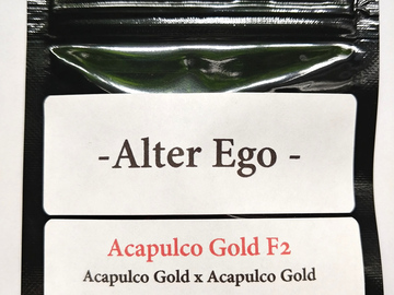 Providing ($): Acapulco Gold F2