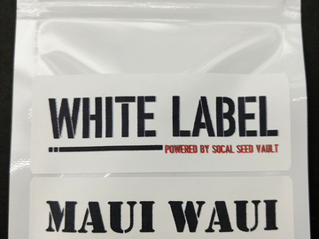 Providing ($): Maui Waui aka Maui Wowie (Feminized)