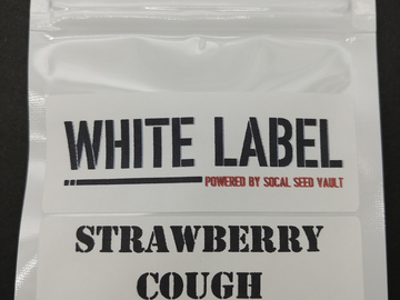 Providing ($): Strawberry Cough (Feminized)