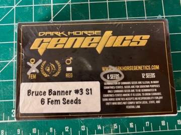 Venta: Darkhorse Genetics- Bruce Banner s1