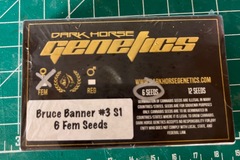 Selling: Darkhorse Genetics- Bruce Banner s1