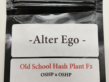 Providing ($): Old School Hash Plant F2